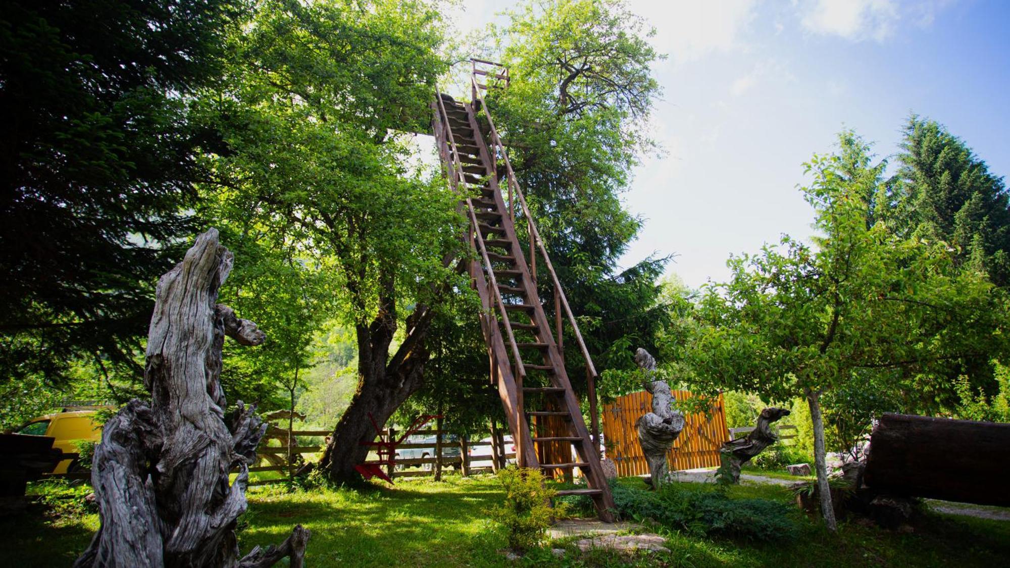 Ethno Village Stitarica Mojkovac Kültér fotó