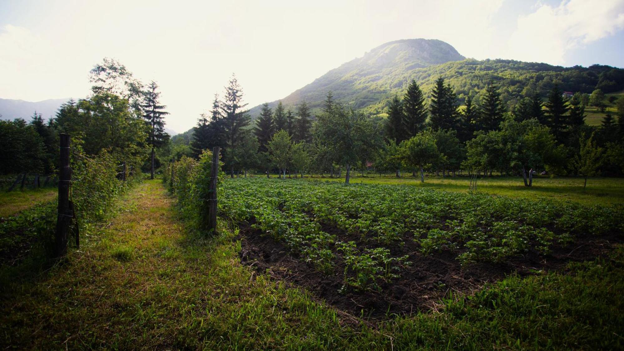 Ethno Village Stitarica Mojkovac Kültér fotó